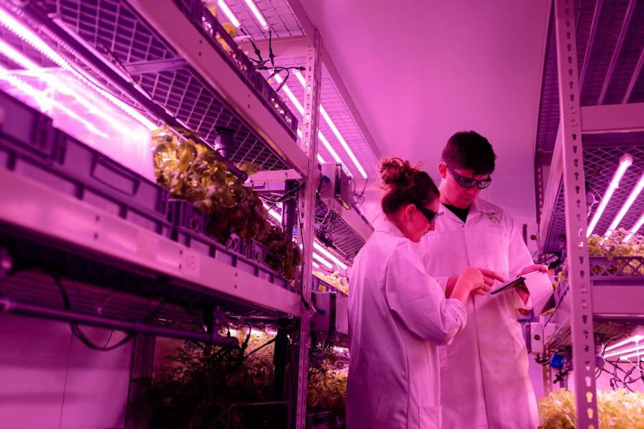 The Ethical Choice: How Amazon Guarana Supports Sustainable Farming Practices