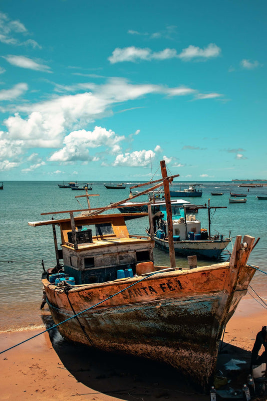 The History and Culture of Guarana: Exploring Its Roots in the Amazon