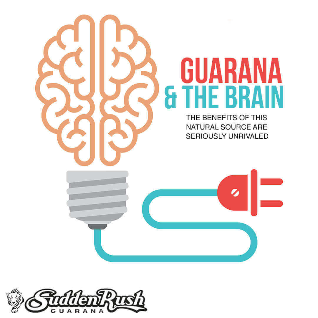 Illustration of a brain and lightbulb depicting guarana's benefits for brain function and concentration.