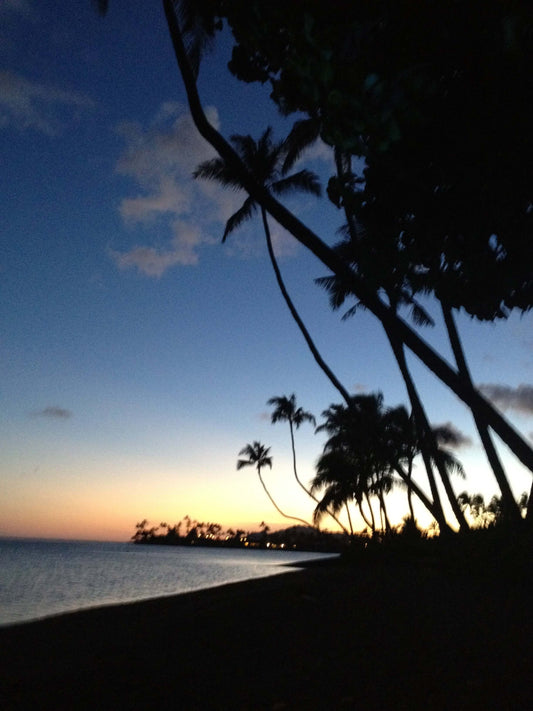 E Mālama I Ka `Āina, E Ola Pono - Cherish the land and live in health and harmony