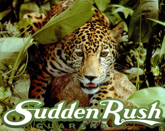 SuddenRush Guarana Jaguar