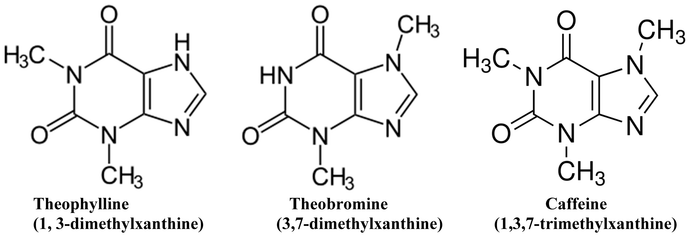 What are Caffeine, Theobromine, and Theophylline?