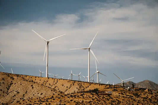 Sustainable Sources for Natural Boost Energy: A Hawaiian Perspective