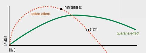 Guarana Contains More Caffeine