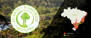 the Atlantic Rainforest Institute