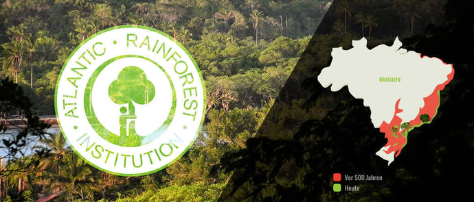 "SuddenRush Guarana and the Atlantic Rainforest Institute: Protecting Biodiversity and Promoting Sustainability"